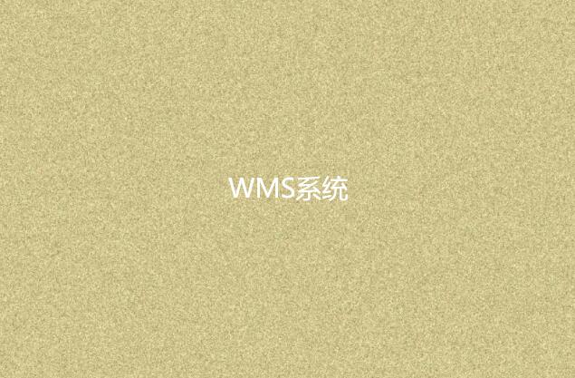 WMS系统适合小型企业吗？