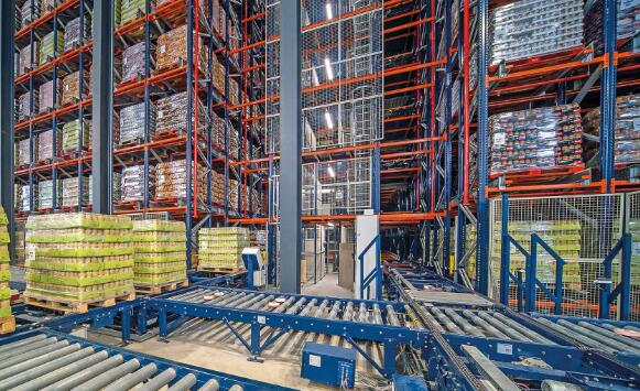 一次全面体检，提高仓储效率与安全双重保障